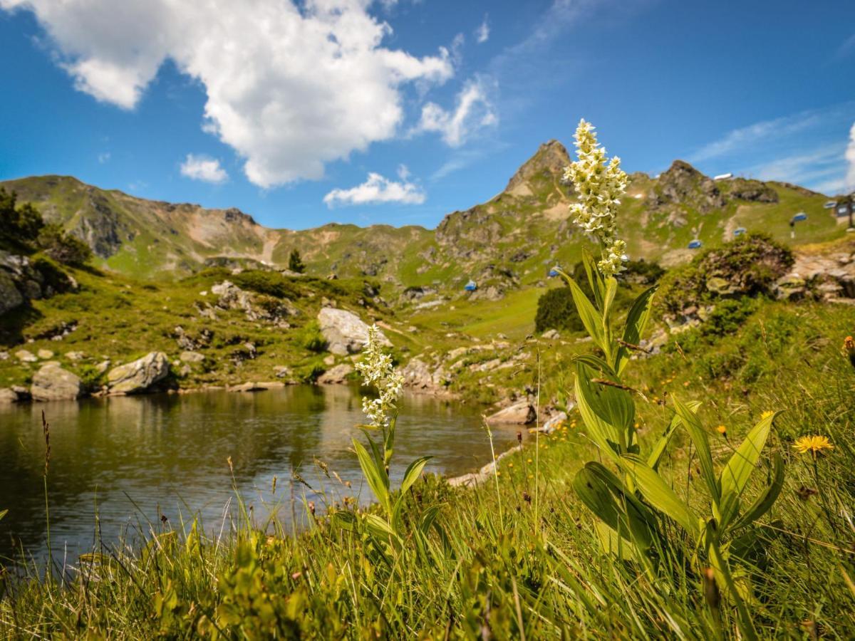 Holiday Home Steindlwald By Interhome Untertauern Dış mekan fotoğraf